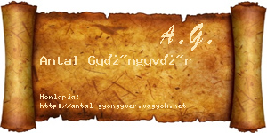 Antal Gyöngyvér névjegykártya